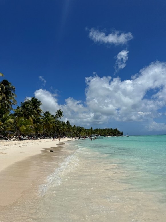 The shoreline with aqua blue water and a bright blue sky with white clouds. Palm trees sit along the sandy shoreline.