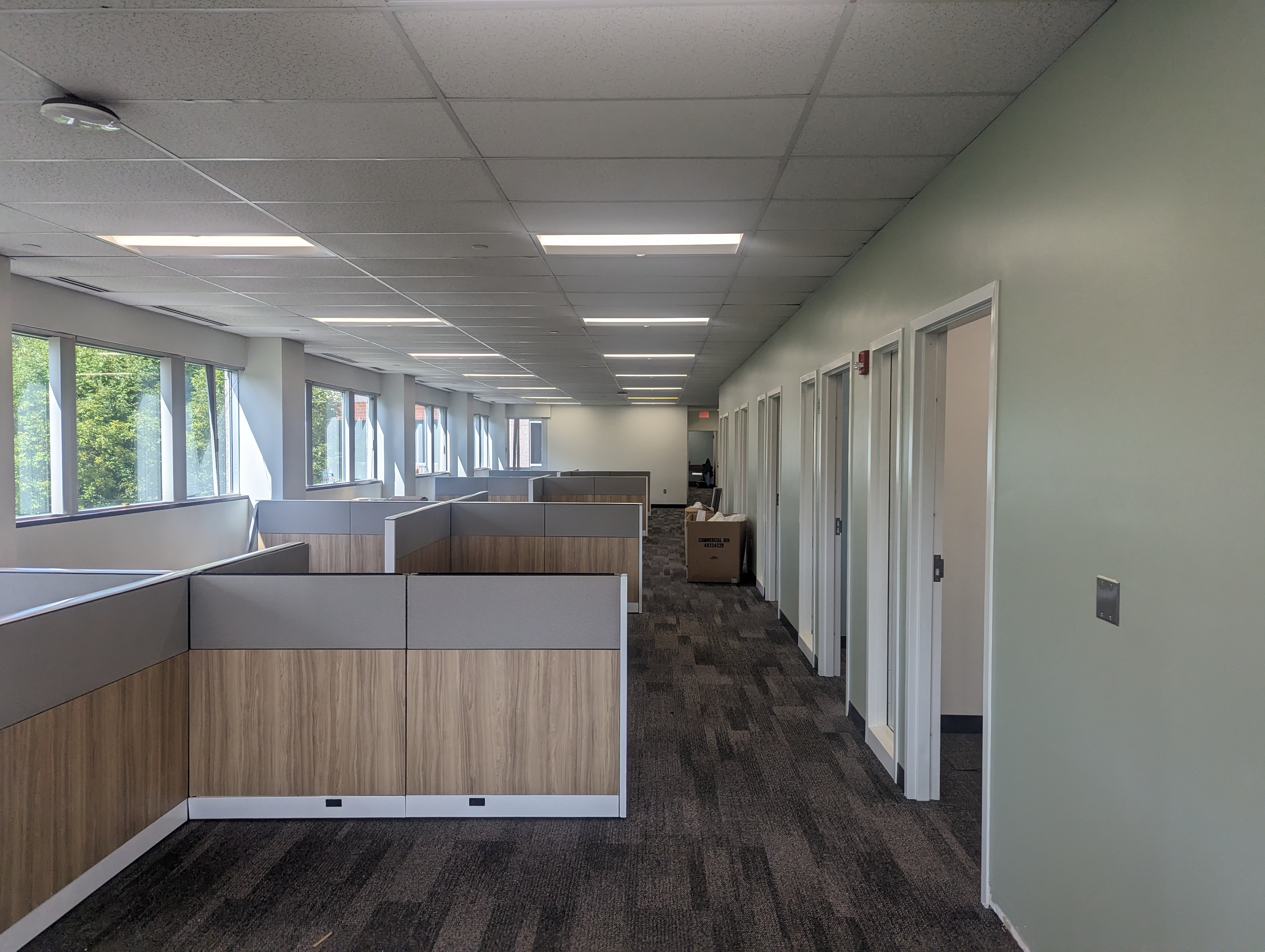 office space with gray rug and green walls