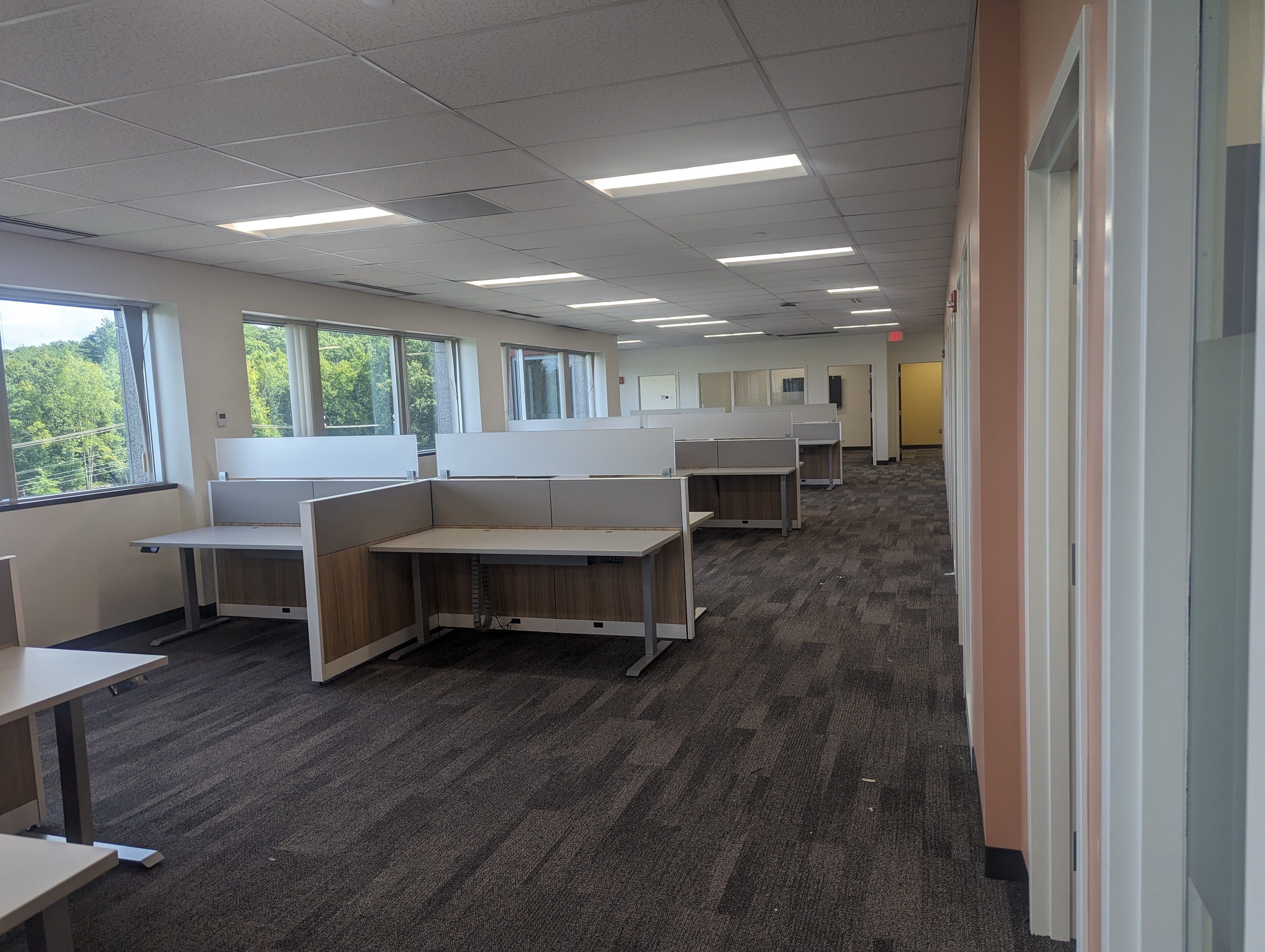 office space with cubicles and gray rug