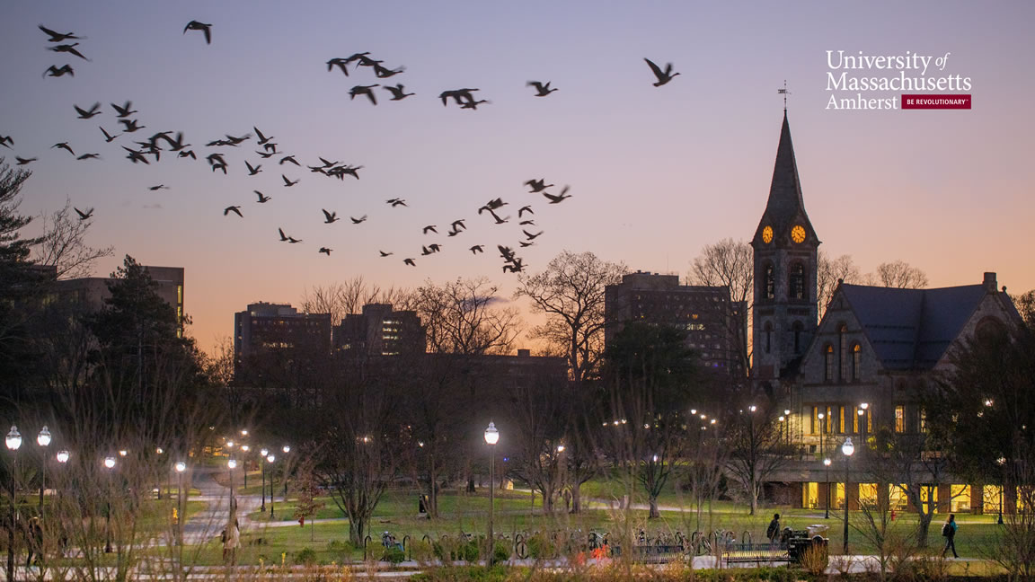 umass amherst campus at twilight with brand and logo