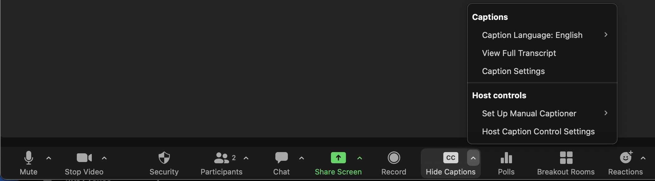 Screenshot of Zoom control menu with the More options for Captions menu expanded.