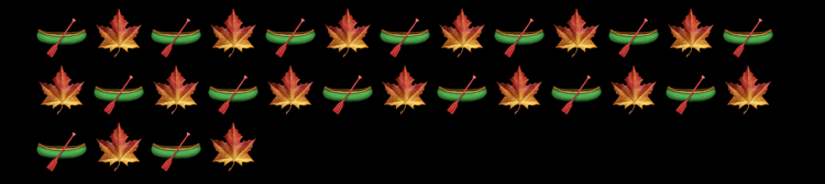 Canoe and maple leaf used on repeat after each other, both used 15 times, making for a total of 30 emojis that would be read to assistive technology. 