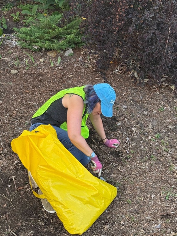 Kristina sits on the ground wearing a bright green vest. She looks down and pulls weeds out of the ground with a gardening bag in front of her.