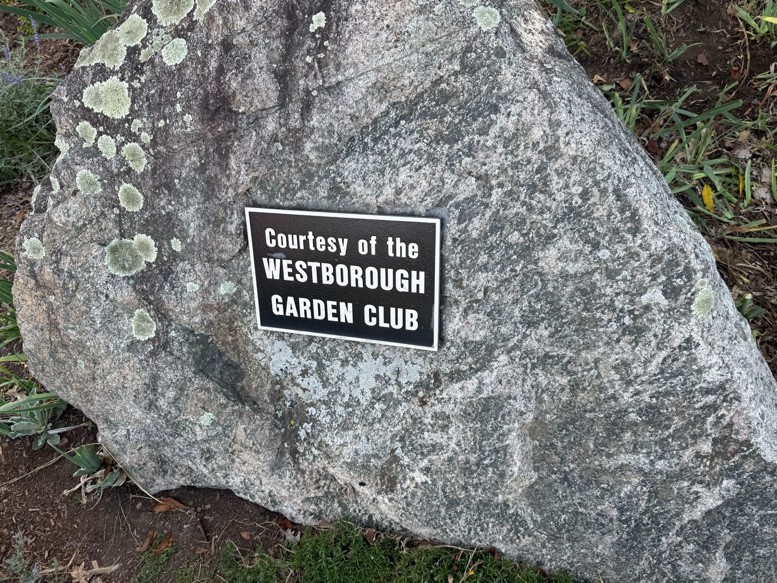 A large rock sits in the garden with a sign on it that says, “Courtesy of the Westborough Garden Club.”