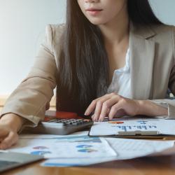 Person looking at an annual budget.