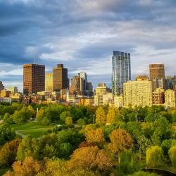 Boston skyline from above with early autumn trees - some with leaves that are dying and turning orange and others that are still green.