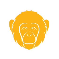 The monkey.